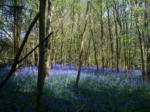North Hill Farm Bed & Breakfast Rickmansworth Bagian luar foto